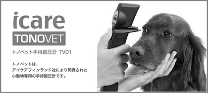 TV01 - ȥΥ٥åȼ㰵 -