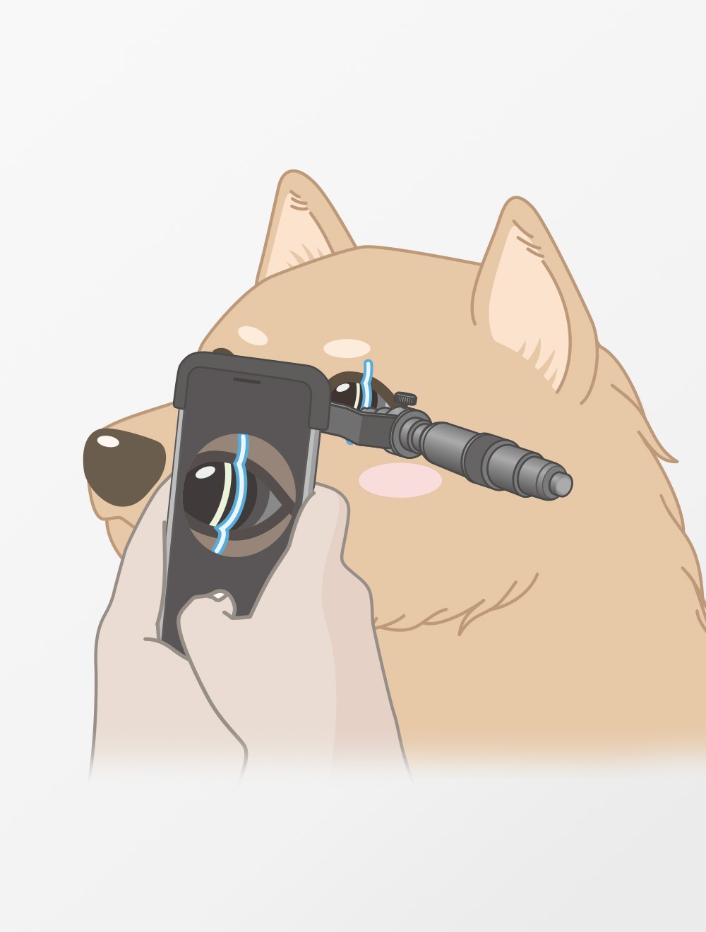 5㍉3㍉　セミドライ　ランディー スリクソン Z725 リミテッドモデル ドライバー | ウッド | 製品